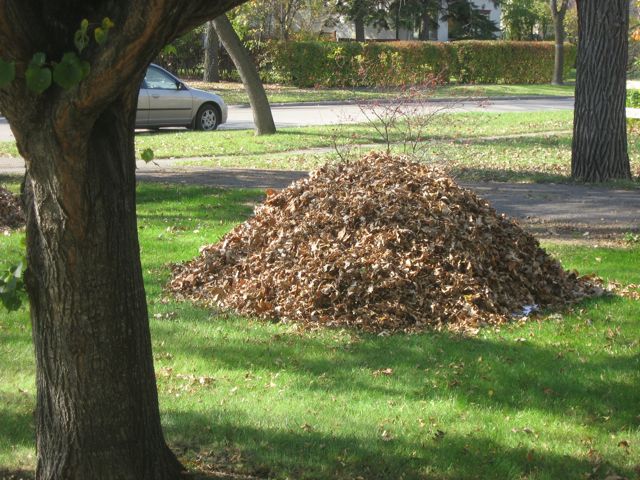 Leaf Blowers